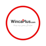 Wincaplus Car Audio System and Options