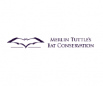 Merlin Tuttle's Bat Conservation