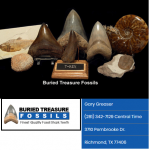 Buried Treasure Fossils