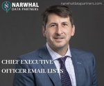 CEO Email Lists | CEO Mailing Address Database in USA