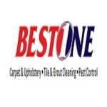 Best 1 Cleaning and Pest Control