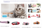Zacal Cat Collars | UK #1 Best Cat Collars