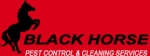 Pest Control Services Dubai