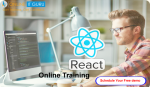 https://onlineitguru.com/reactjs-training.html