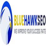 BlueHawkSEO - SEO Services: Guest Posts, PBNs and SEO Packages