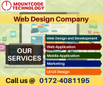 Best Web Designing and Development Company in Mohali