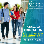 Study Visa Consultants in Chandigarh