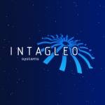 Custom Software Development at Intagleo Systems