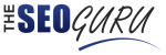 Want to be on page 1 of Google? The SEO Guru can help you!