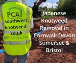 Japanese Knotweed Removal Cornwall Devon Bristol Somerset