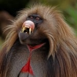 Jackpot tours Ethiopia