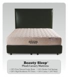 Box Spring Mattress