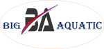 Website Designing Company in Gorakhpur