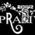 Designer range of PC brand sarees online