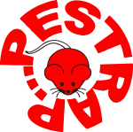 Best Fumigation & Pest Control Company in Pakistan