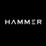 Hammer Truly Wireless Bluetooth Earbuds