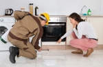 Pest Control Services