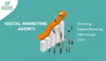 DigiDir- Digital Marketing Agency