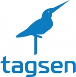 Best Online Resume Design Services in India