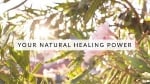 How To Restore Your Bodys Natural Healing Power