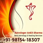 World Famous Astrologer Ankit Sharma