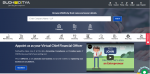 Virtual CFO Services