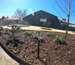 Customised Garden Design Services In Perth | Reticulation