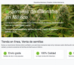 Semillas Cultivo Mexico
