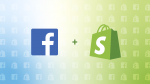 How To Easily Embed Facebook Feed On The Shopify Website?