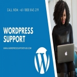 WordPress Support