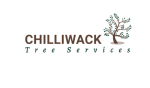 Chilliwack Tree Services