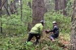 Genesis Tree Service
