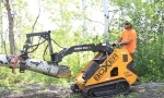 Tree Service Arborist and Tree Surgeon