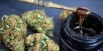 Get Immediate Effect With CBD Dabs