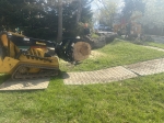 TreeCareHQ Winchester