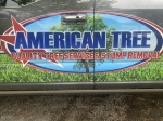 American Tree & Landscaping LLC