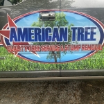 American Tree & Landscaping LLC