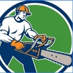 ACS Tree Service of Lakeland