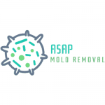 ASAP Mold Testing Encino