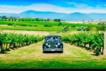 Acacia Ridge Winery Yarra Valley