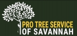 Pro Tree Service of Savannah
