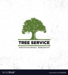 Shumail Tree