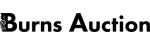 Burns Auction &amp; Appraisal LLC