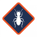 Affordable Termite Control - Santa Ana