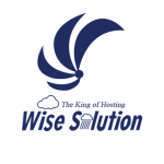 Wise Solutions