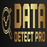 Data Detect Pro LLC