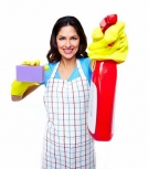 A1 Cleaning