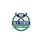 All State Plumbing Pros