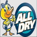 All Dry Services of Seattle