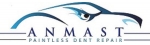 Anmast Paintless Dent Repair